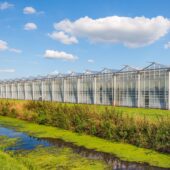 Geothermie voor het Amernet van Ennatuurlijk